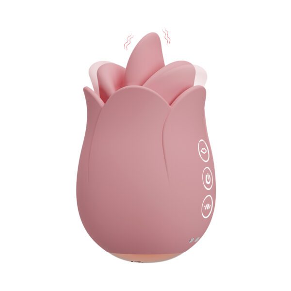 sexy Christmas vibrator gift