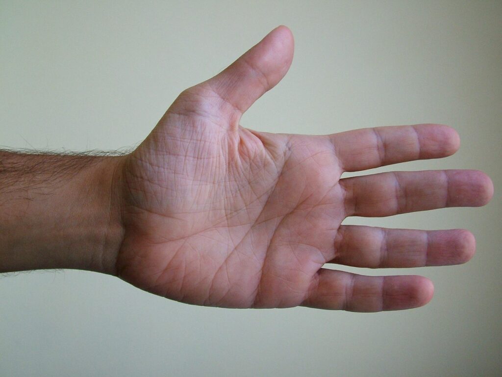 A human hand.
