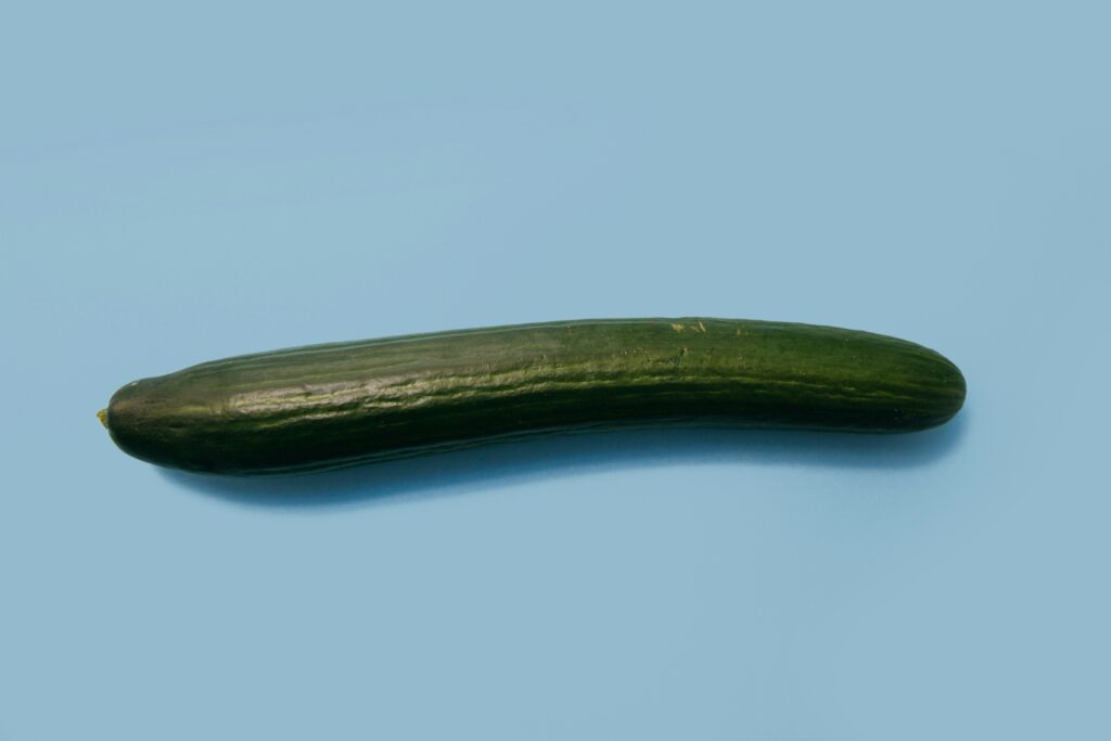 Green cucumber on blue background