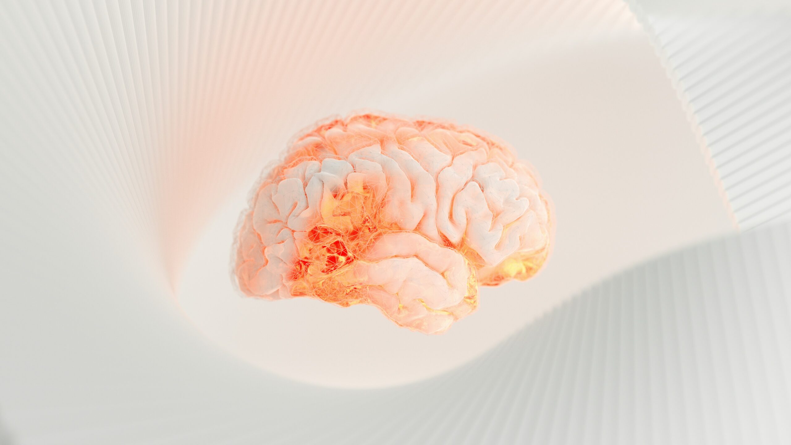 Brain with lit-up synapses